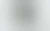 Flush Sash Window 02